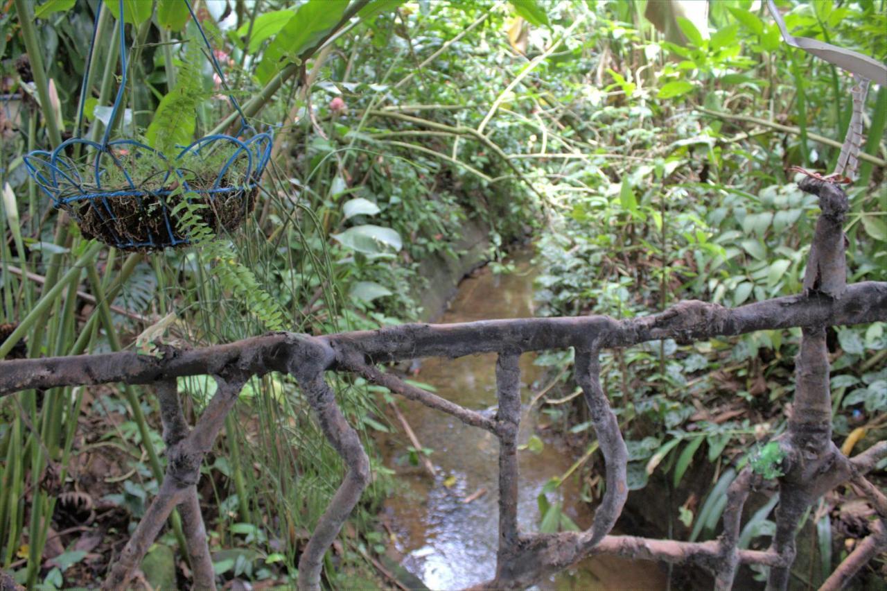 Salamandra Costa Rica Jimenez Exterior photo
