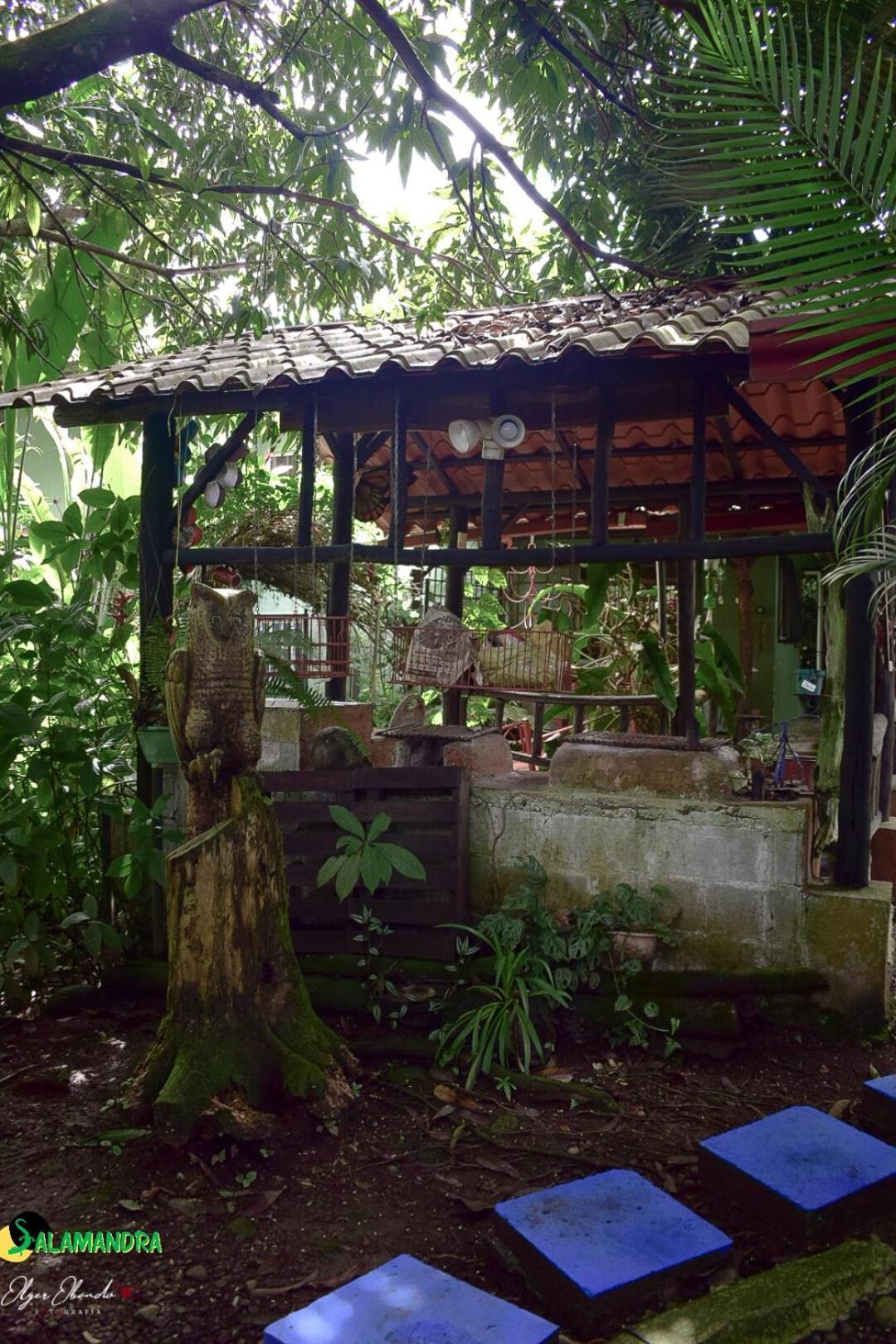 Salamandra Costa Rica Jimenez Exterior photo